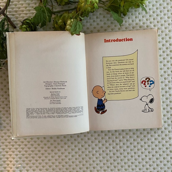 Charlie Brown’s Book of Questions & Answers - Picture 5 of 9